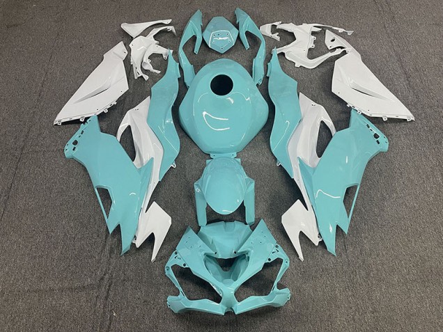 Aqua 2019-2023 ZX6R Motorcycle Fairing Aqua 2019-2023 ZX6R Motorcycle Fairing