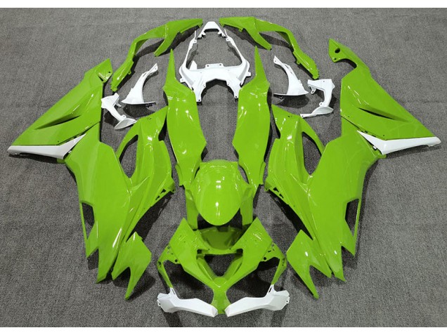 Gloss Green & White 2019-2023 ZX6R Motorcycle Fairing Gloss Green & White 2019-2023 ZX6R Motorcycle Fairing