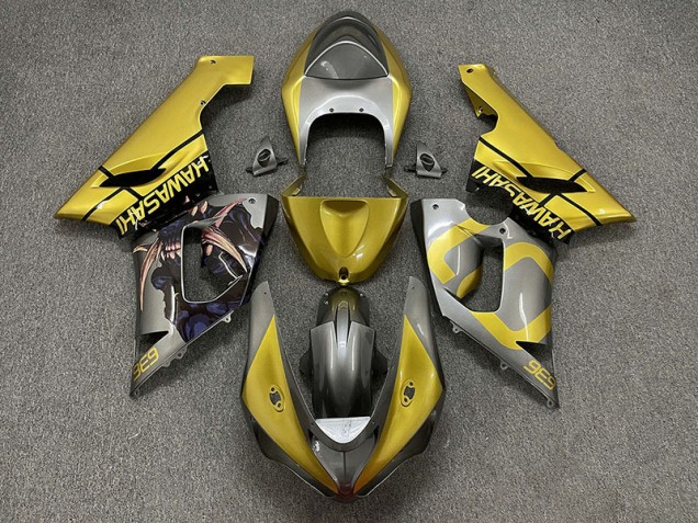 Gold and Silver 2005-2006 ZX6R Motorcycle Fairing Gold and Silver 2005-2006 ZX6R Motorcycle Fairing