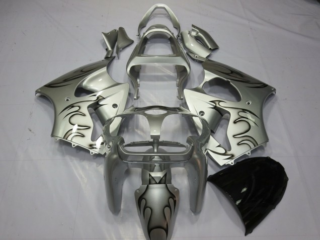 Silver Flame 2000-2002 ZX6R Motorcycle Fairing Silver Flame 2000-2002 ZX6R Motorcycle Fairing